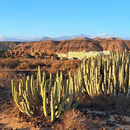 Casa Teraza Apartment