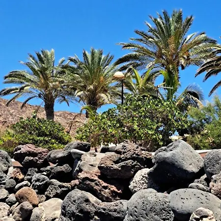 Casa Teraza Apartment Palm-mar